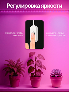 Фитолента для растений светодиодная с выключателем USB фиолетовый свет Огонёк OG-LDL38 3 метра